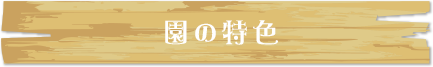 園の特色