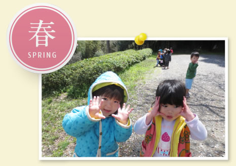 春（Spring）